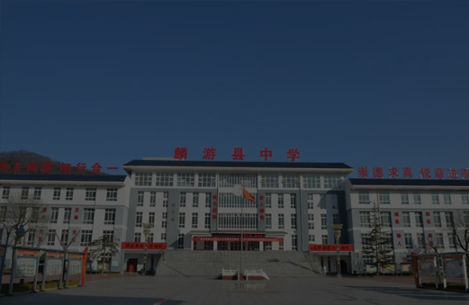 麟游县中学